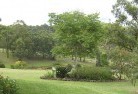 Gormans Hillresidential-landscaping-40.jpg; ?>
